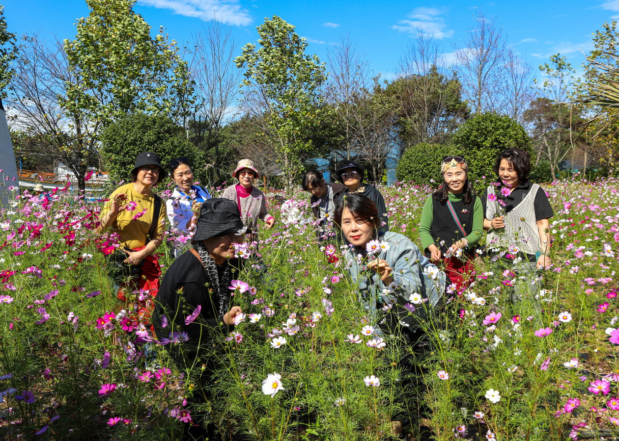 d7c595ea3b36a801d4dc2550cf441342_1763700