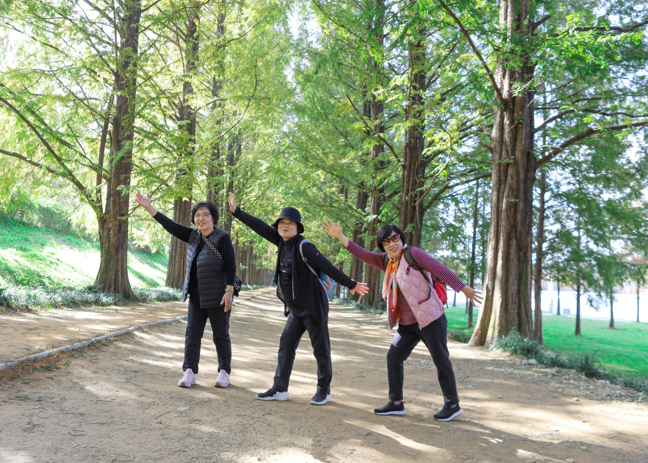 d7c595ea3b36a801d4dc2550cf441342_1763700