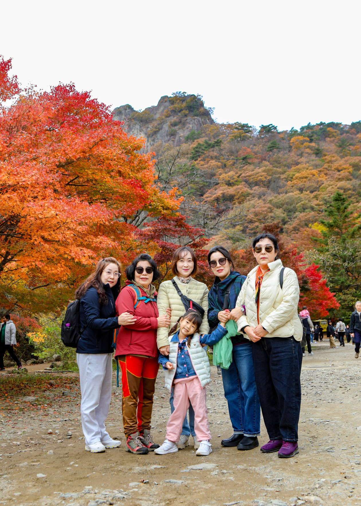 d7c595ea3b36a801d4dc2550cf441342_1763700