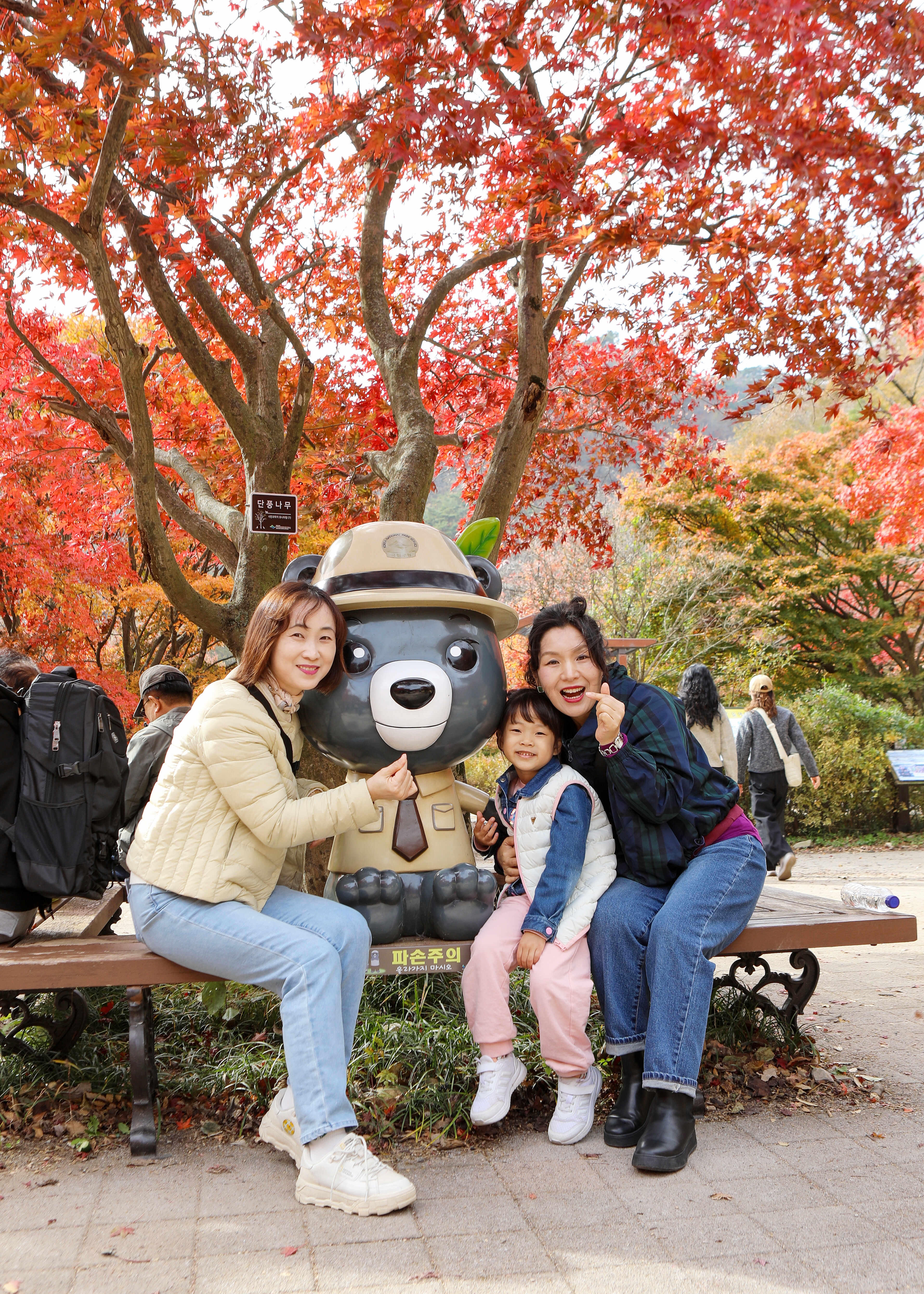 d7c595ea3b36a801d4dc2550cf441342_1763700