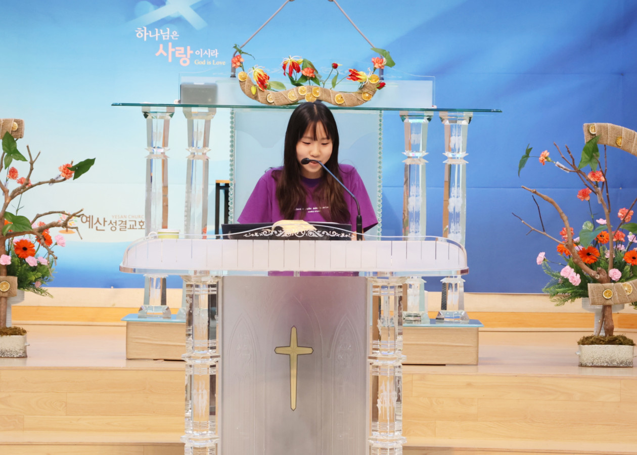 3d1ed7af2adbfcf5fc65b80bbf6d776e_1771661